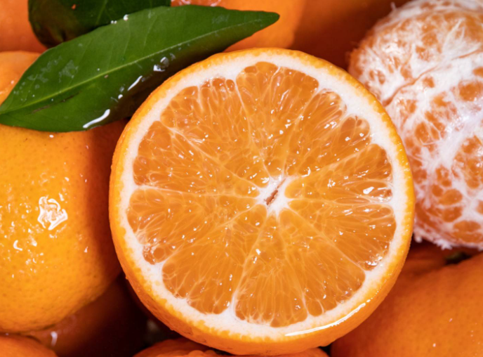 沃柑，原产地沃柑，新鲜采摘发货可零售批发