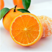 新鲜沃柑橘子热带应季水果